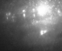 Přístaviště Petrov