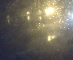 Přístaviště Petrov