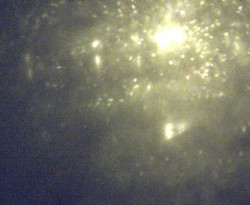 Přístaviště Petrov