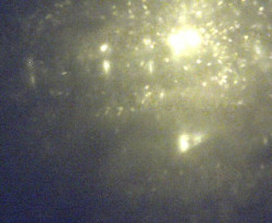 Přístaviště Petrov