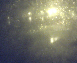 Přístaviště Petrov