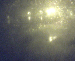 Přístaviště Petrov