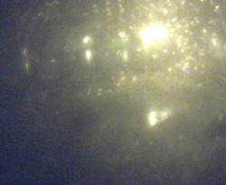 Přístaviště Petrov