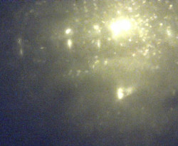 Přístaviště Petrov