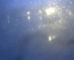 Přístaviště Petrov