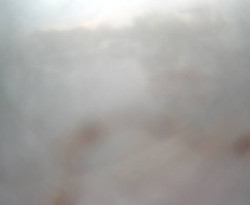 Přístaviště Petrov