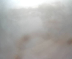 Přístaviště Petrov