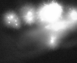 Přístaviště Petrov