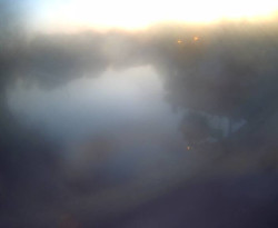 Přístaviště Petrov