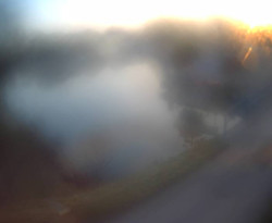 Přístaviště Petrov