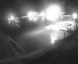 Přístaviště Petrov