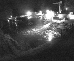 Přístaviště Petrov