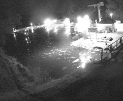 Přístaviště Petrov