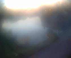 Přístaviště Petrov