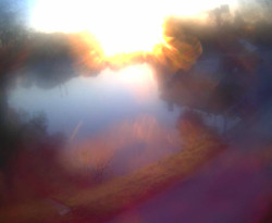 Přístaviště Petrov