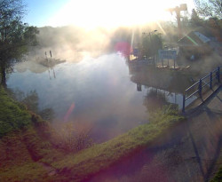 Přístaviště Petrov