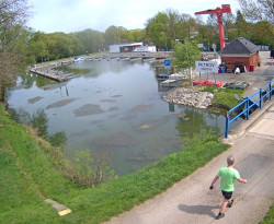 Přístaviště Petrov