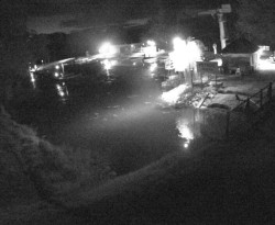 Přístaviště Petrov