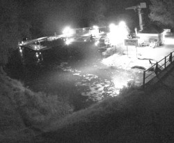 Přístaviště Petrov