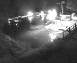 Přístaviště Petrov