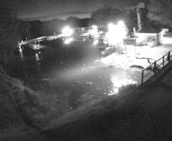 Přístaviště Petrov