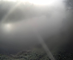 Plavební komora Petrov