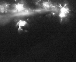 Plavební komora Petrov