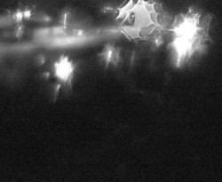 Plavební komora Petrov