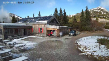 Snímek    4.11.2025 v 13:01