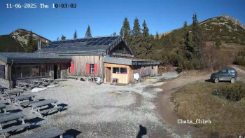 Snímek 6.11.2025 v 11:01