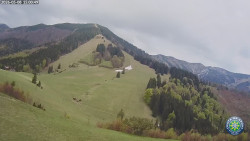 Poludňový grúň