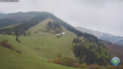 Poludňový grúň