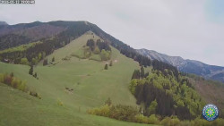 Poludňový grúň