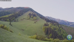 Poludňový grúň