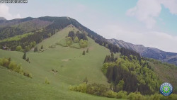 Poludňový grúň