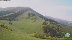 Poludňový grúň
