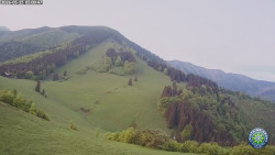 Poludňový grúň