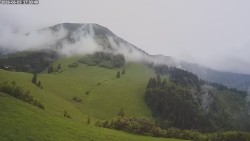 Poludňový grúň