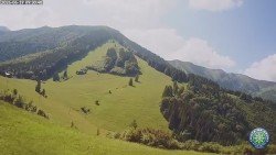 Mittagsgrün