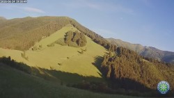 Południowa zieleń