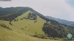 Mittagsgrün