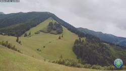 Południowa zieleń