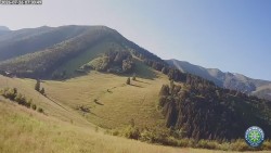 Mittagsgrün