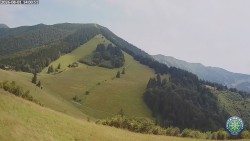 Mittagsgrün