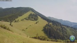 Mittagsgrün