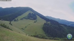 Mittagsgrün