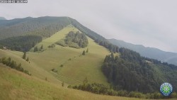 Mittagsgrün