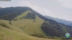 Mittagsgrün