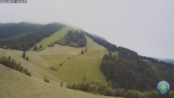 Południowa zieleń