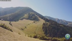 Południowa zieleń